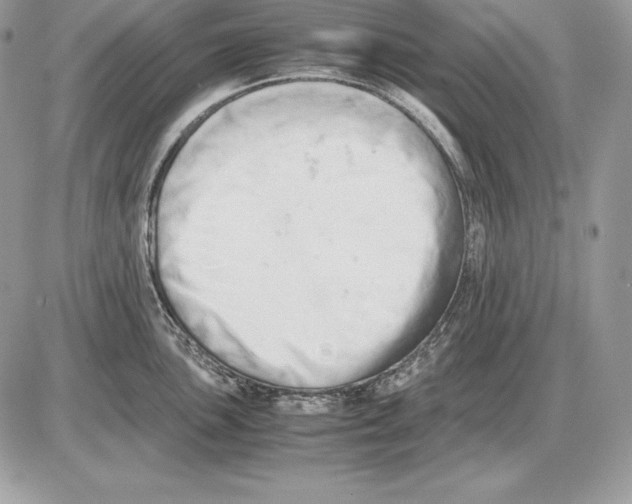 X0000085751051200704131706