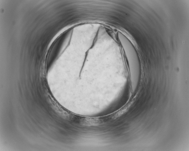 X0000085751052200704131706