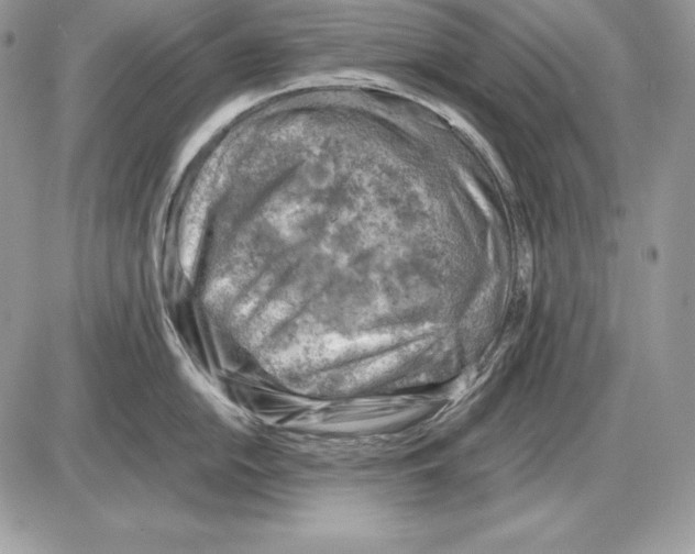 X0000085751054200704131706