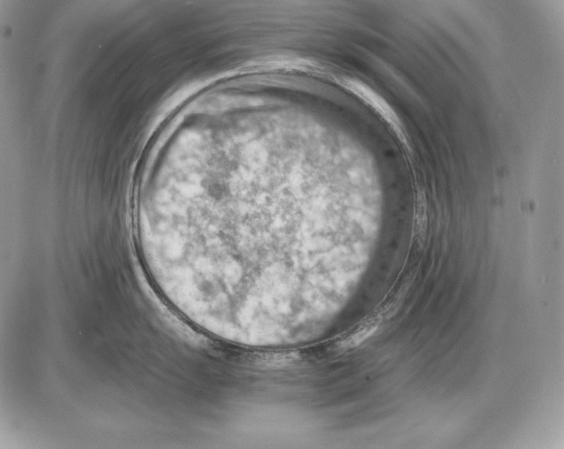 X0000085751055200704131706