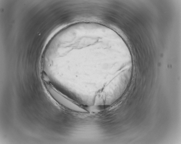 X0000085751056200704131706