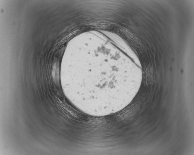 X0000085751058200704131705