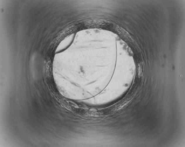 X0000085751059200704131705