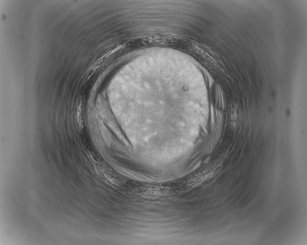 X0000085751060200704131705