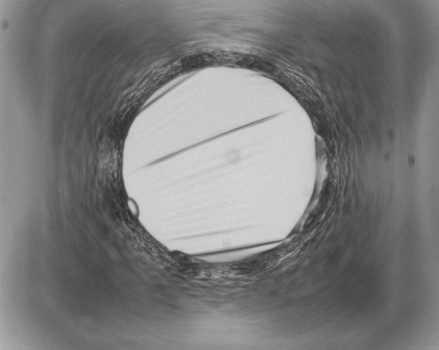 X0000085751061200704131705