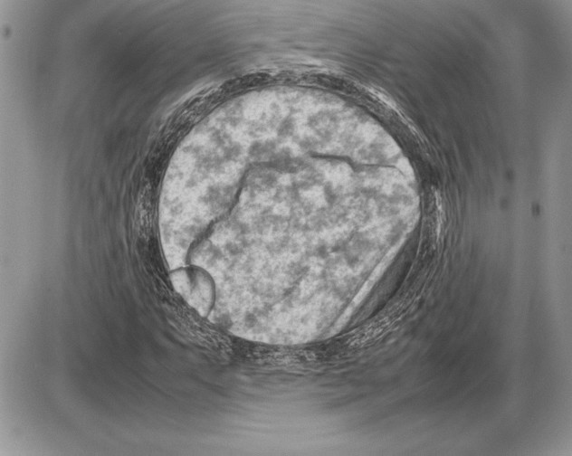 X0000085751063200704131705