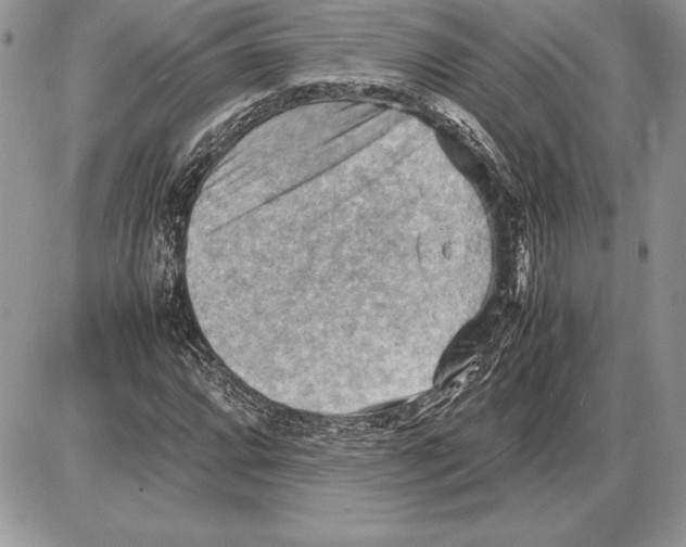 X0000085751064200704131705