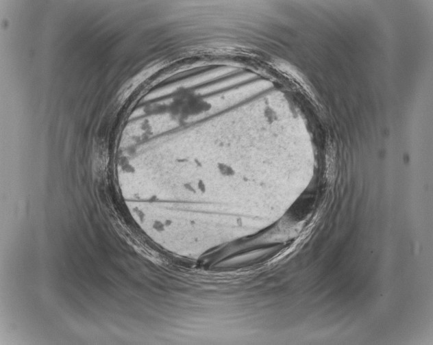 X0000085751065200704131705