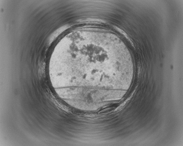 X0000085751066200704131705