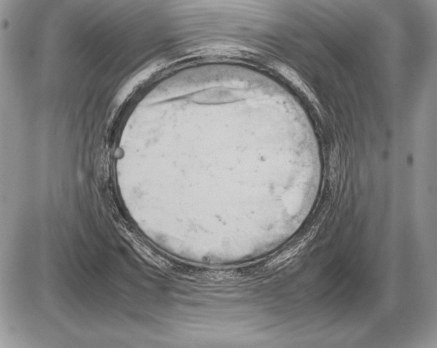 X0000085751067200704131705