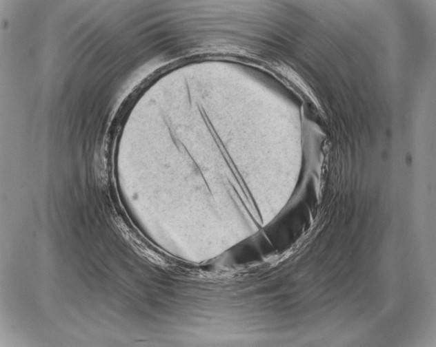 X0000085751068200704131705