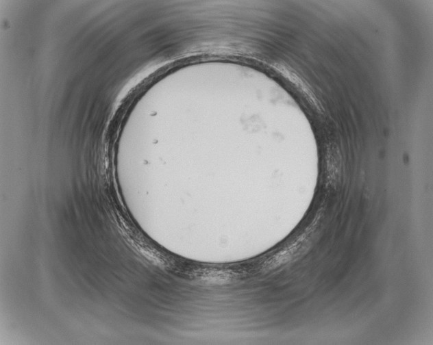 X0000085751070200704131705