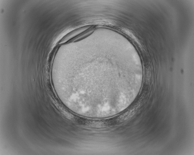 X0000085751071200704131705