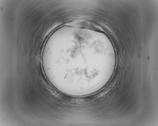 X0000085751073200704131705