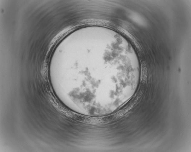 X0000085751074200704131705