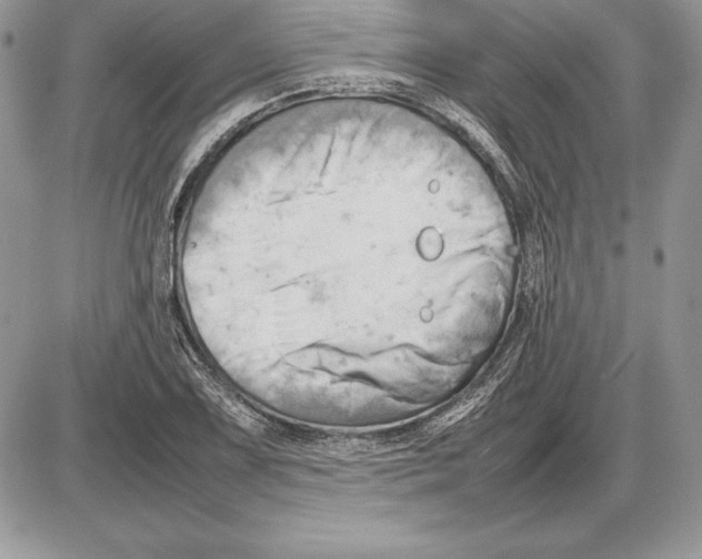 X0000085751075200704131705