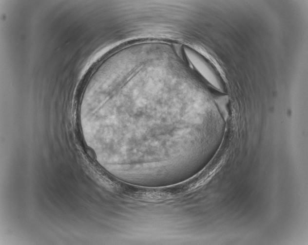 X0000085751077200704131705