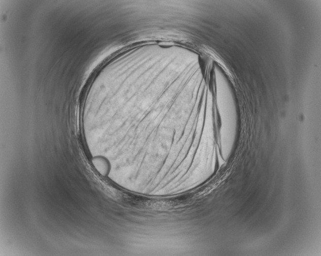 X0000085751079200704131705