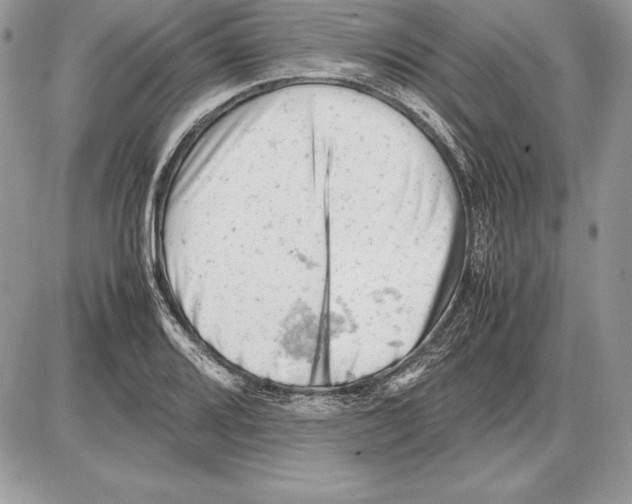 X0000085751080200704131705