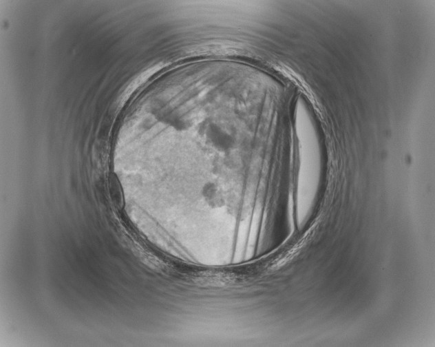 X0000085751081200704131705