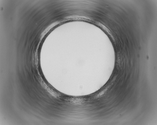 X0000085751082200704131705