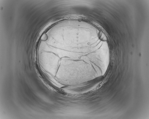 X0000085751083200704131705