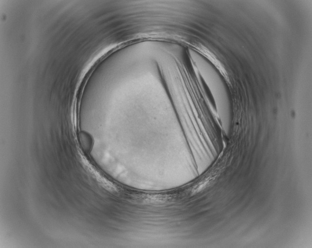 X0000085751084200704131705