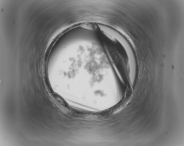 X0000085751085200704131705