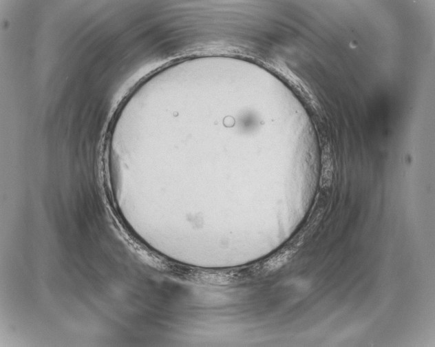 X0000085751086200704131705