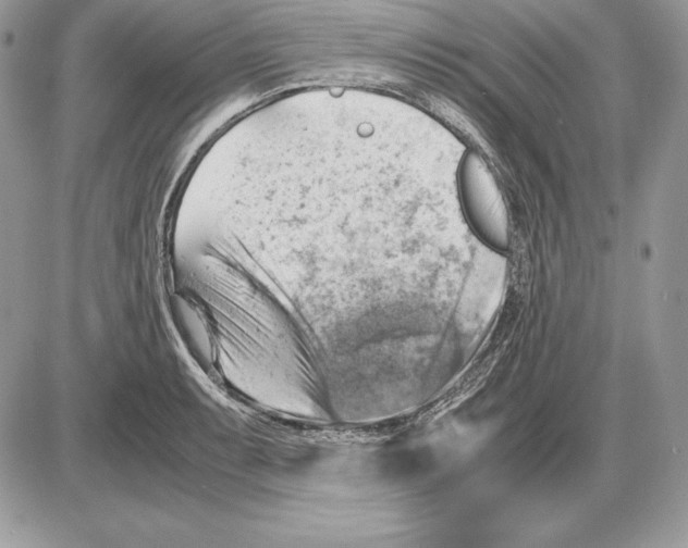 X0000085751087200704131705