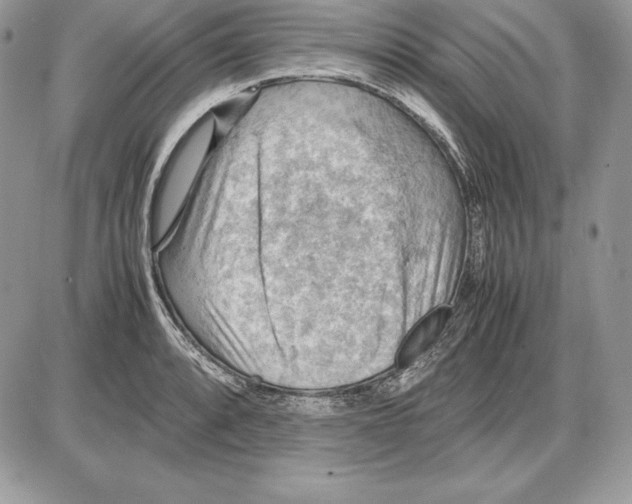 X0000085751088200704131705