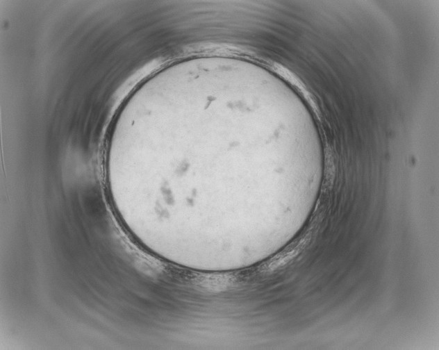 X0000085751090200704131704