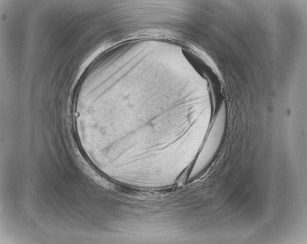 X0000085751091200704131704