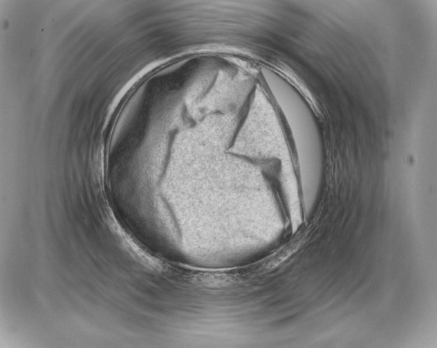 X0000085751092200704131704