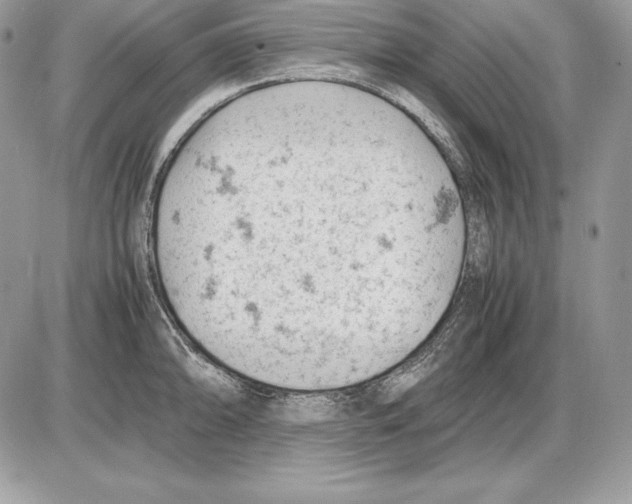 X0000085751094200704131704