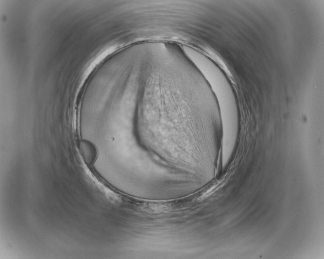 X0000085751095200704131704