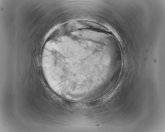 X0000085751097200704131704