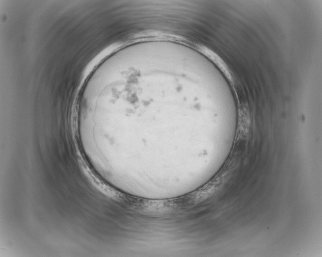 X0000085751098200704131704