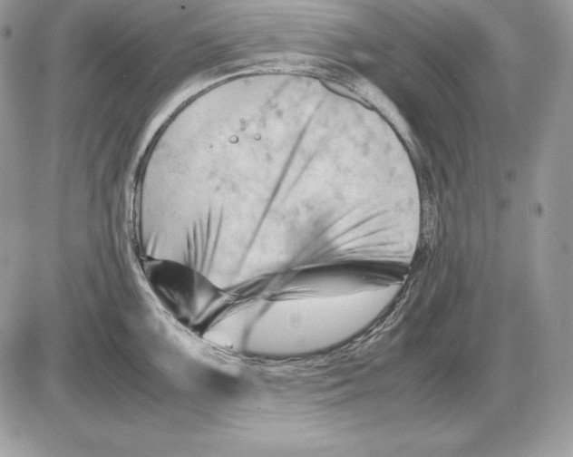 X0000085751099200704131704