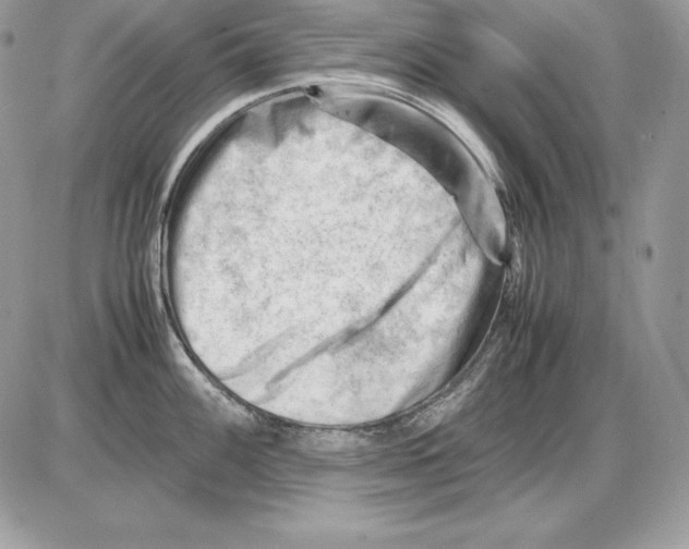 X0000085751100200704131704