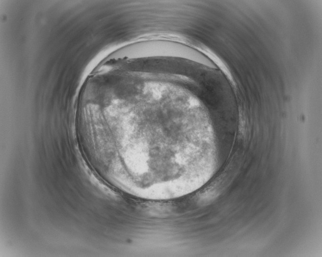 X0000085751102200704131704