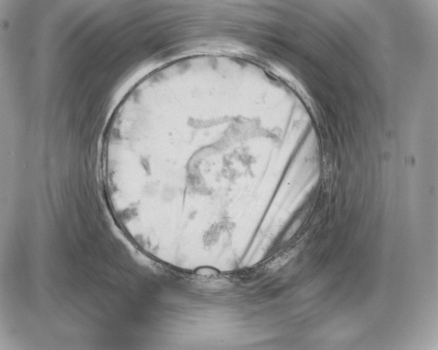 X0000085751103200704131704