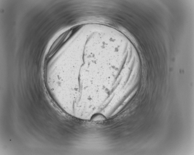 X0000085751104200704131704