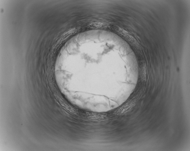 X0000085751105200704131703