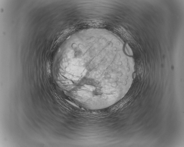 X0000085751106200704131703