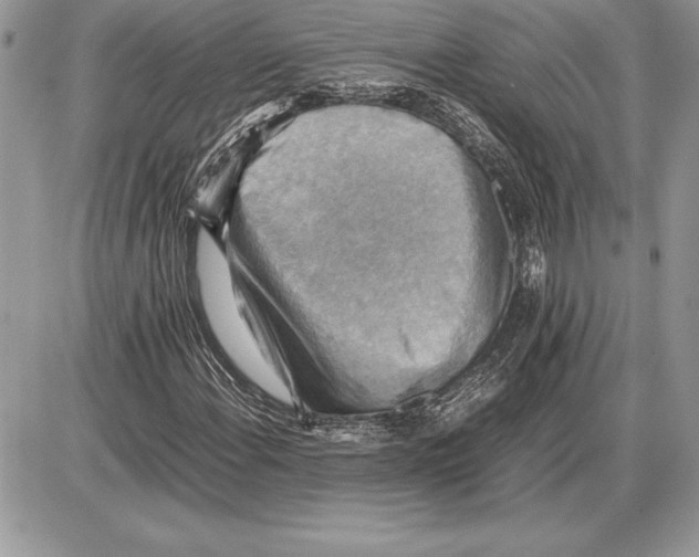 X0000085751108200704131703