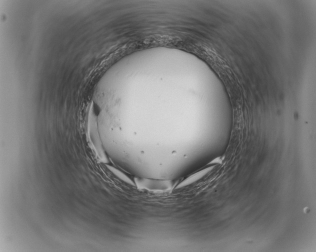 X0000085751109200704131703