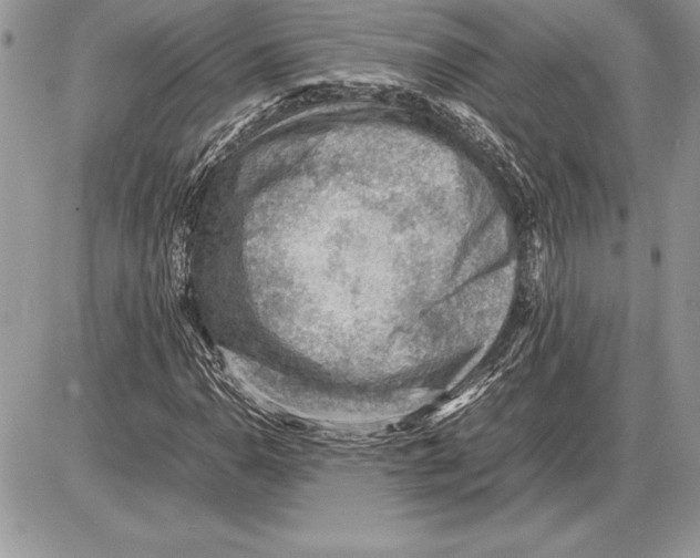 X0000085751110200704131703