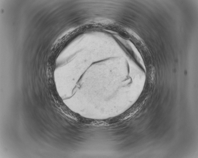 X0000085751112200704131704