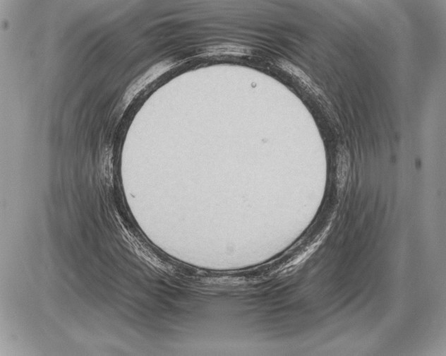 X0000085751113200704131704